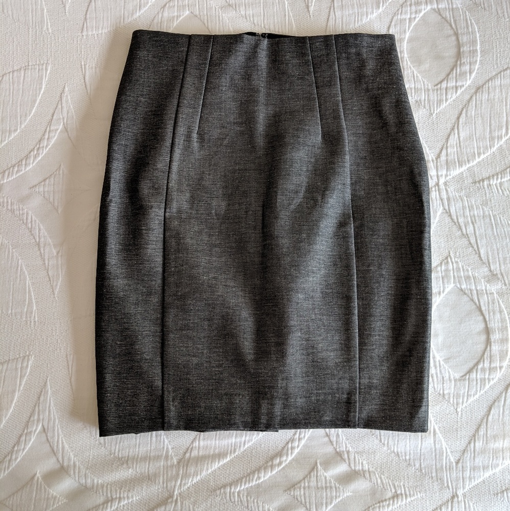 Express Pencil Skirt